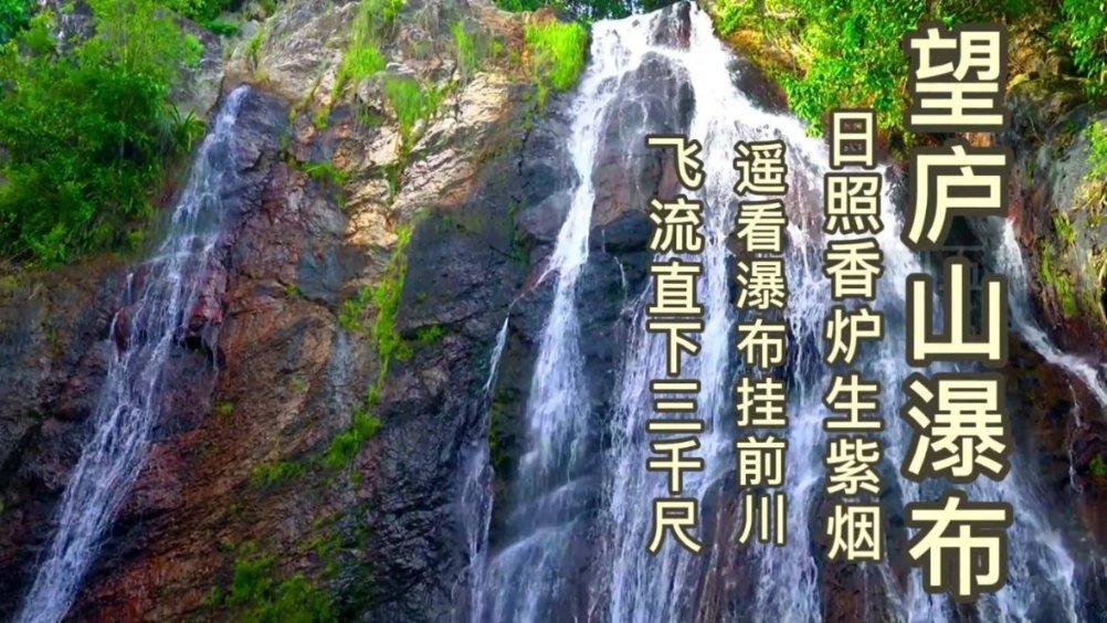 组装机械机甲暴龙2